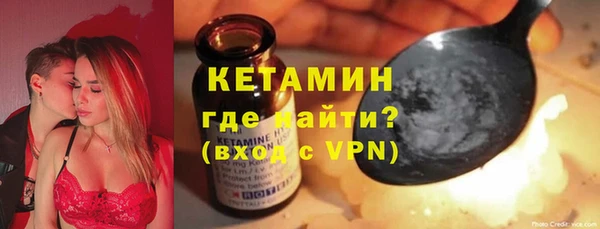 индика Нижний Тагил