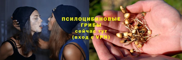 ПСИЛОЦИБИНОВЫЕ ГРИБЫ Ладушкин