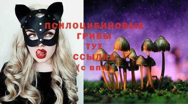 ПСИЛОЦИБИНОВЫЕ ГРИБЫ Ладушкин
