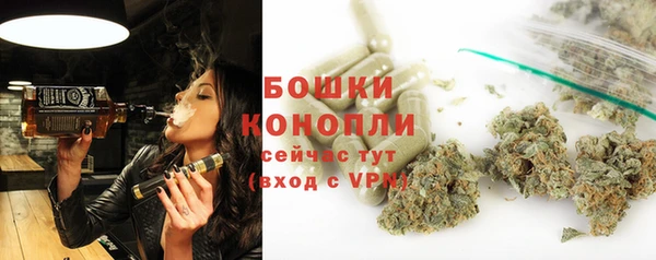 ПСИЛОЦИБИНОВЫЕ ГРИБЫ Ладушкин