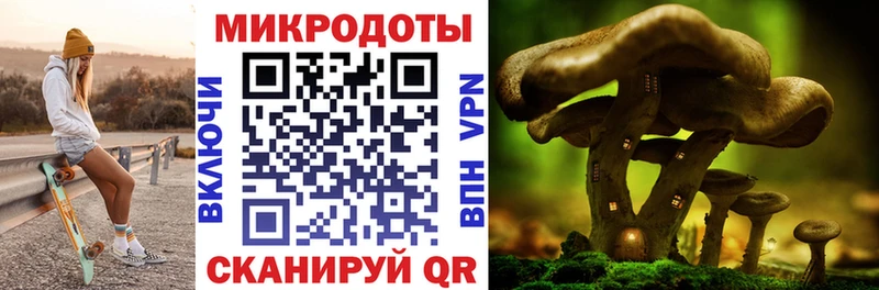 Псилоцибиновые грибы ЛСД  блэк спрут ТОР  Монино 